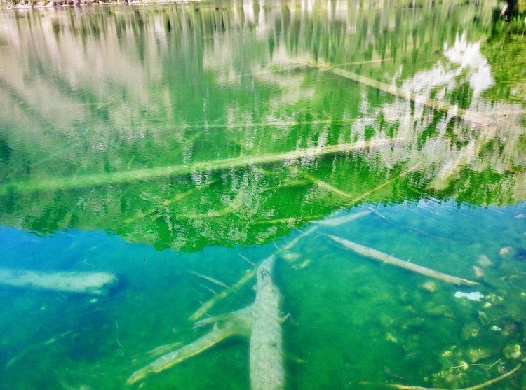 含砷廢水 含砷廢水