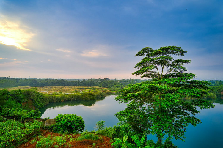 總錳測(cè)量?jī)x 總錳測(cè)量?jī)x