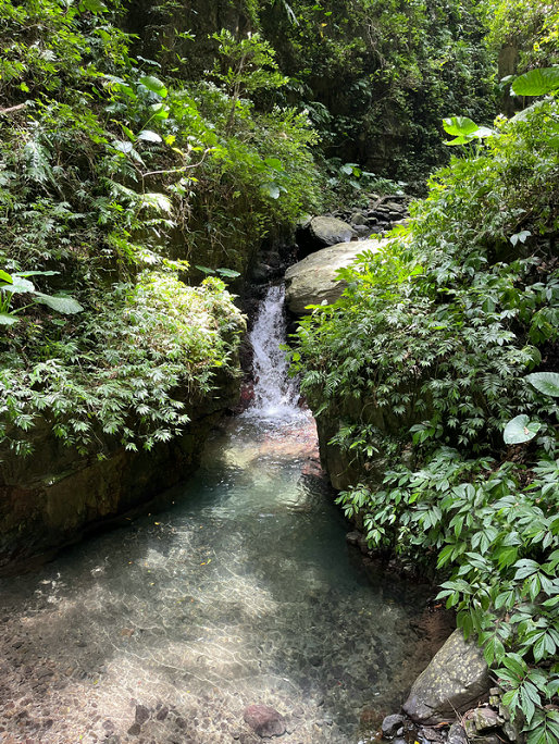 總銅水質在線分析儀系統(tǒng) 總銅水質在線分析儀系統(tǒng)