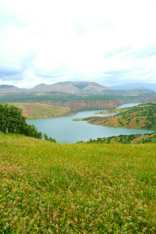 總磷水質(zhì)在線自動(dòng)監(jiān)測儀 總磷水質(zhì)在線自動(dòng)監(jiān)測儀