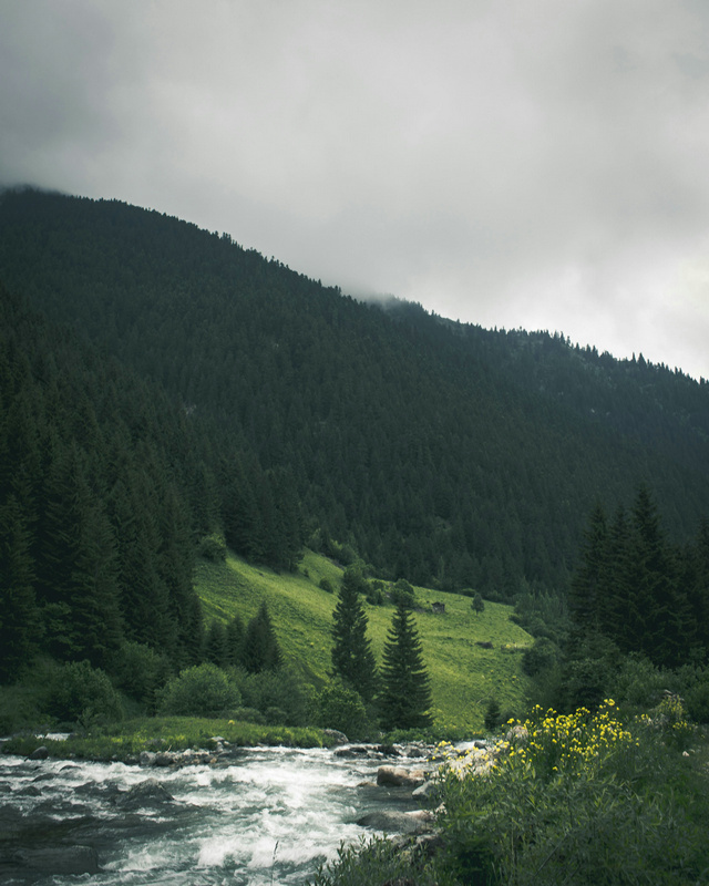 在線葉綠素檢測(cè)儀 在線葉綠素檢測(cè)儀